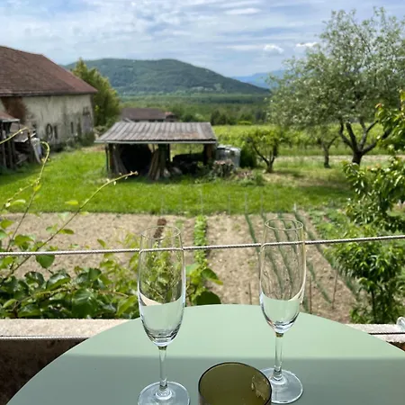 Cocon Avec Et Vue Imprenable Chindrieux