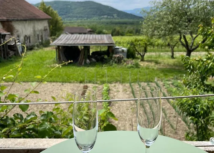 Cocon Avec Et Vue Imprenable Chindrieux